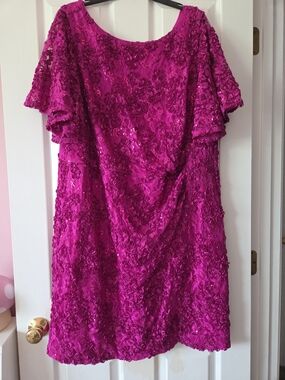 Jessica Howard Womens Plus Size Lace Flutter Sleeve Dress Size 20W